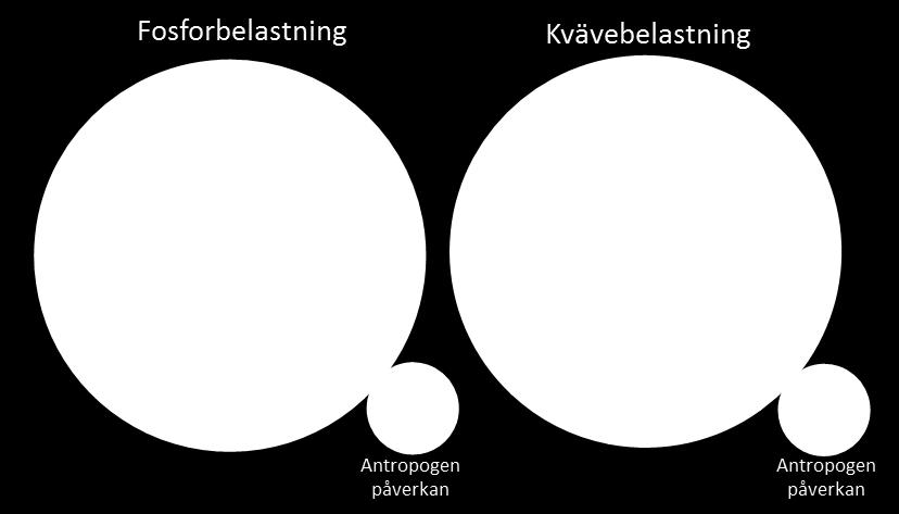 härröra från mänsklig påverkan (Erlandsson m fl 2013). Figur 6. Fördelning av fosfor- och kvävetillförsel till Björnöfjärden från olika källor.