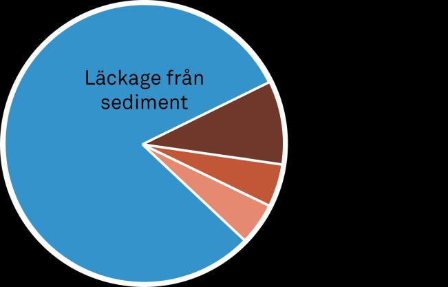 Den interna belastningen dominerar (fosforläckage från vikens sediment) Även om näringsläckaget från Björnöfjärdens avrinningsområde är betydande, kom det största tillflödet av fosfor till vattnet