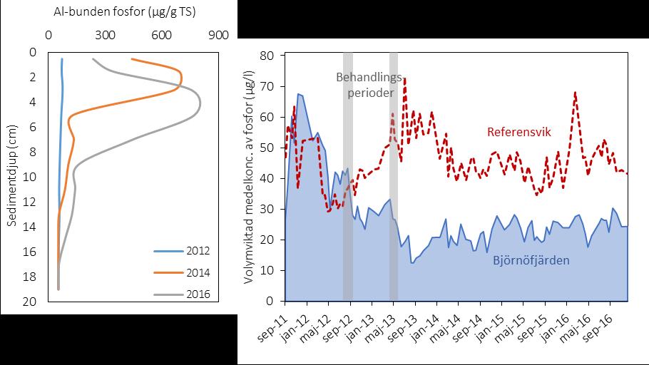 Figur 2. Koncentration av aluminiumbunden fosfor på olika sedimentdjup, innan aluminiumbehandling (2012) samt 2 och 4 år efter. Figur 3.