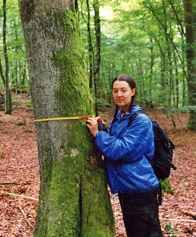 field work The Oak Forest