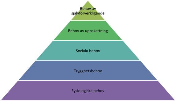 Trygghetsbehov. När de fysiologiska behoven är relativt tillfredsställda aktualiseras trygghetsbehovens omfattande behov av säkerhet, stabilitet, trygghet, struktur och skydd från rädsla och oro.