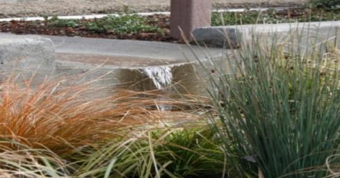 Den översta delen av bädden täcks vanligtvis med någon form av vegetation vilket bidrar till att både upprätthålla infiltrationskapaciteten och