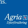 850 Tot: 90 16-9-11 Lappsaga e Rigel Jo Swartling S F 18/4-4m 4/ 2180 6 27,4 g xx 43 40' Uppf: Jönsson Emma & Anna Swartling S D 4/5-1m 2/ 2200 1 29,3 cc 38 12' 10 Äg: Stall Träff HB, Järvsö