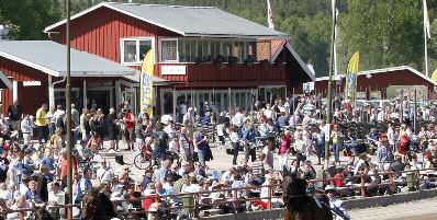 Älvdalens dag blev åter en succé! Förra måndagen anordnades Älvdalens dag för 29:e gången och som vanligt blev det succé. Över 2 000 i publik och sponsorer i alla loppen.