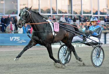 Topplistan Rättvik 2014 Kuskligan Proffs St 1 2 3 Pengar 2014 Seg% Pl% 1 Ohlsson Ulf (B) A1 37 8 3 3 381.200 21,6 37,8 2 Pettersson Tomas (Bs) A1 30 7 2 1 227.