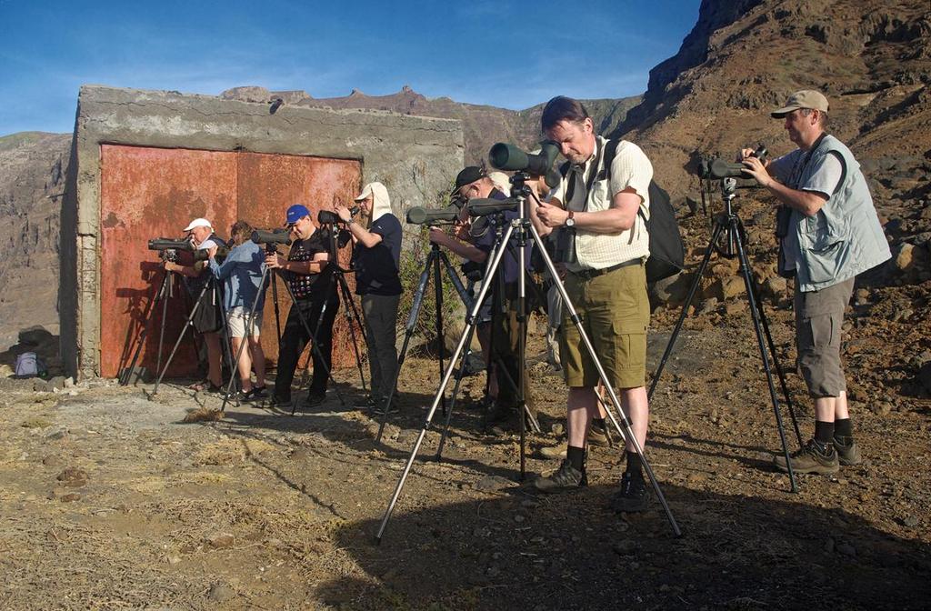 Vi spanar efter liror, petreller och valar vid Ponta do Trabuz. Foto: Rubén Barone. INLEDNING Vi kom till Kap Verde i något som kändes som en brytningstid.