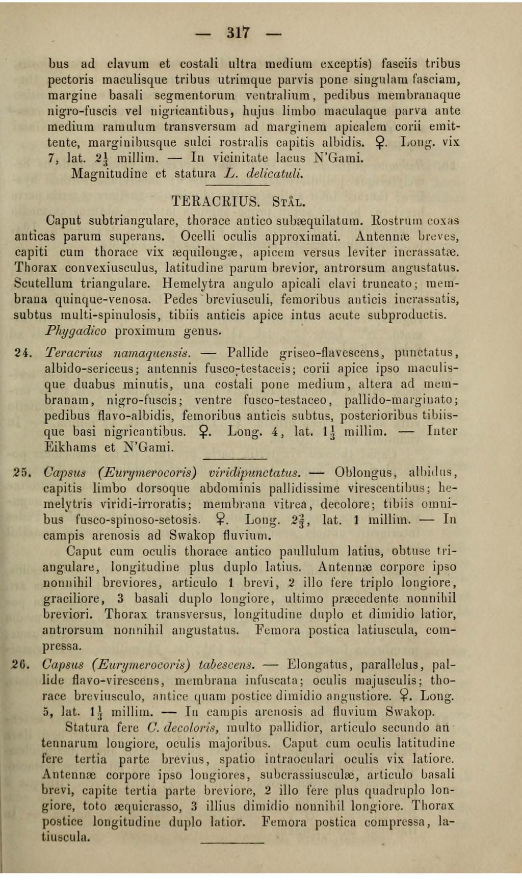 317 bus ad clavum et costali ultra tuecliutn exceptis) fasciis tribus pectoris maculisque tribus utritnque parvis pone singulam fa sciam, margine basali segmentot u1n ventraliutn, pedibus membranaque