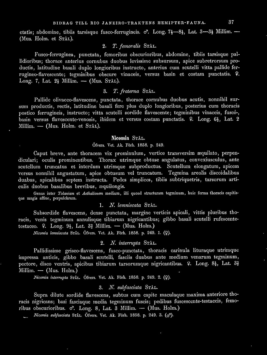 duplo longioribus instructo, anterius cum scutelli vitta pallide ferrugineo-flavescente; tegminibus obscure vinaceis, versus basin et costam punctatis.?. Long. 7, Lat. 2J Millirn. (Mus. STAL). 3. T.