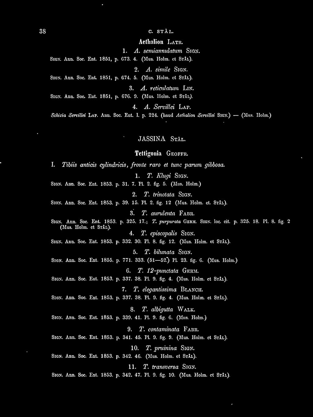 I. Tibiis anticis cylindricis, fronte raro et tune parum gibbosa. 1. T. Klugi SIGN. SIGN. Ann. Soc. Ent. 1853. p. 31. 7. PI. 2. fig. 5. (Mus. Holm.) 2. T. trinotata SIGN. SIGN. Ann. Soc. Ent. 1853. p. 39.