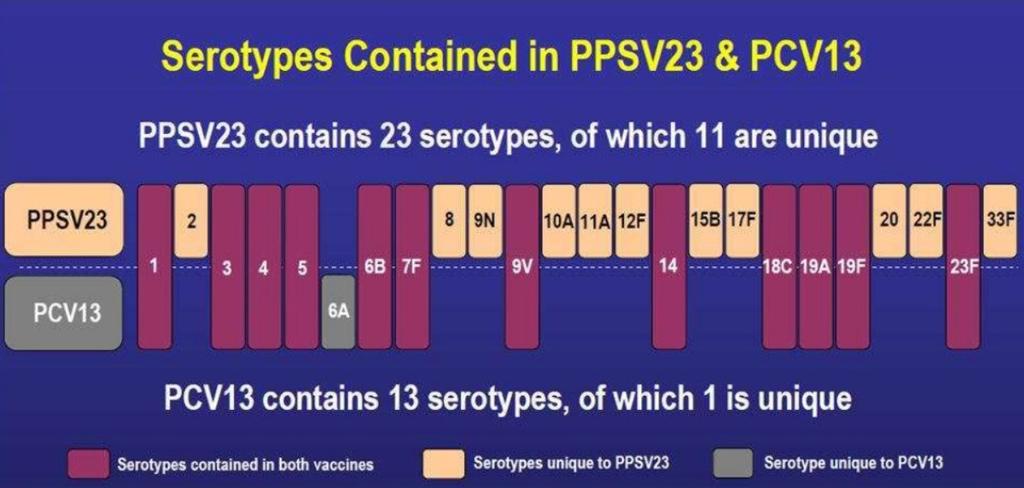 Konjugatvaccin (Prevenar 13, Synflorix ) Prevenar 13 (upphandlat) 13 olika serotyper, Synflorix 10.