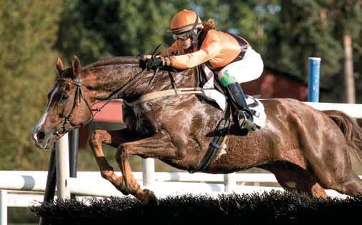 LADY JOCKEYS' WORLD CHAMPIONSHIP Anna Pilroth en allsidig jockey Anna Pilroth är den enda kvinnliga jockeyn i Skandinavien som även