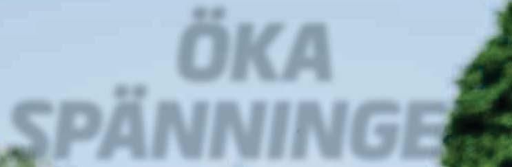 För den som vill prova på att få lite av jockeykänslan finns vår mekaniska galopphäst Winmachine.