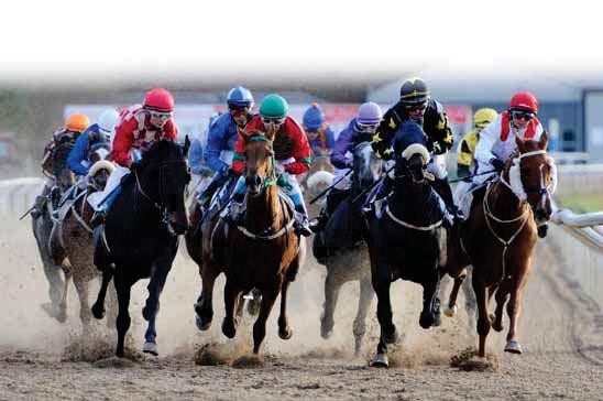 6 2750 Gräs START 16.03 KOMB TRIO VINNARE PLATS GÄRDET // 47 H52 // JOCKEYKLUBBENS NATIONALDAGSHANDICAP För 3-åriga och äldre hästar. Vikt: Aktuellt handicaptal, 3-åriga minus 8 kg. 40.000 kr 20.