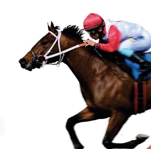 GALOPP- FESTER I SOMMAR Sommaren innebär högsäsong för galoppsporten i hela Sverige.Välkommen att njuta av The Sport of Kings på någon av våra galoppbanor.