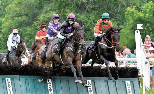 SVENSKT GRAND NATIONAL Att börja med Ponnygalopp STRÖMSHOLM 2018 LÖRDAG 16 JUNI www.svensktgrandnational.se Serveringar, utställarområde och barnaktiviteter! Grindarna öppnar 10.00, Ponny SM 11.