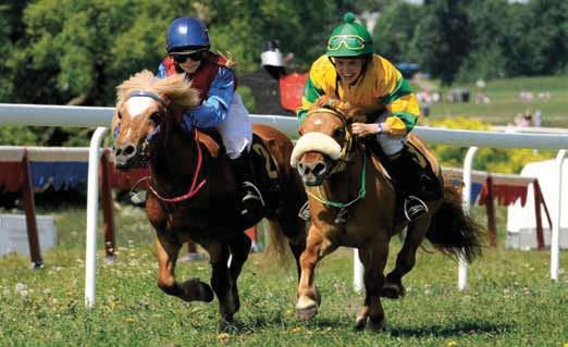 Det ordnas tävlingar på Bro Park, Göteborg Galopp, Jägersro, Strömsholm och på Gärdet.