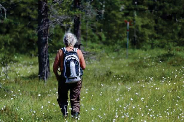 Upplands-Bro ligger i hjärtat av Mälardalen och är en av regionens mest natursköna kommuner.