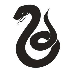Snake InstitutionenförElektro2ochinformationsteknikvidLundsTekniskaHögskola