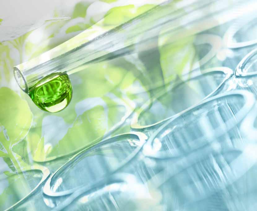 thermoscientific Achieve excellence in a complete Finnpipette system Buy 1 pack of racked Thermo Scientific TM Finntip TM (filtered or non-filtered) and receive a 30% discount!