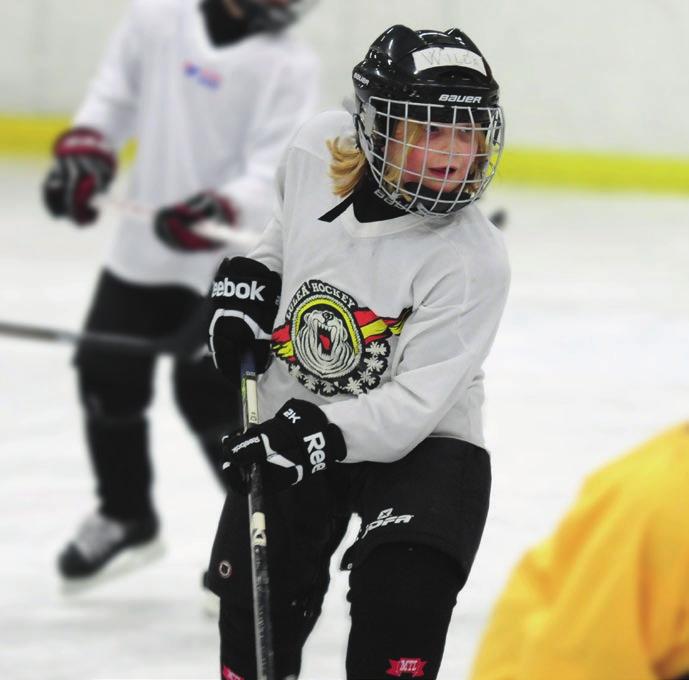 ALLMÄN INFORMATION LAGLEDNING Varje lag i Luleå Hockey skall vid säsongstart ha en ledarstab som består av, men inte begränsas till, nedanstående positioner.