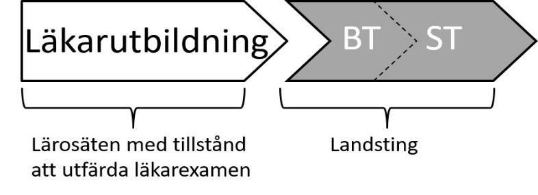 Figur 6.1 En ny utbildningsstruktur för läkares utbildning och specialisering Prop.