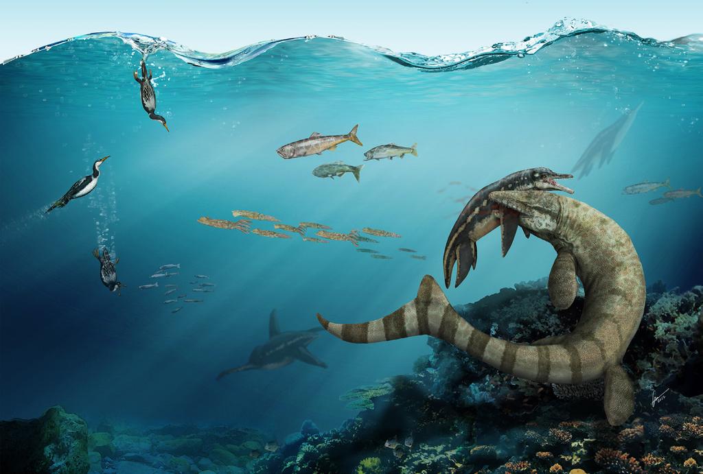 Abstract This thesis is thematically divided into two sections: Part 1 presents studies related to the palaeoenvironments, palaeoecology and palaeobiogeography of the Late Cretaceous (Campanian)