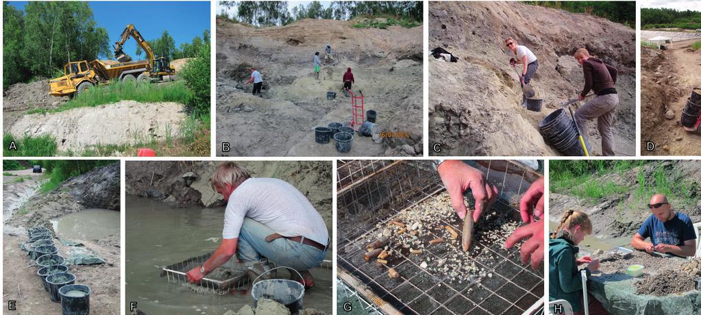 PALAEOENVIRONMENTS, PALAEOECOLOGY AND PALAEOBIOGEOGRAPHY Field excavations for this project were conducted between June and August in 2010 2012, and targeted the unconsolidated marine quartz sand at