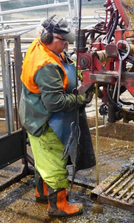 25 Figur 11. Utvalda arbetsställningar under verkning för klövvårdare D. Arbetsställning 1 t.