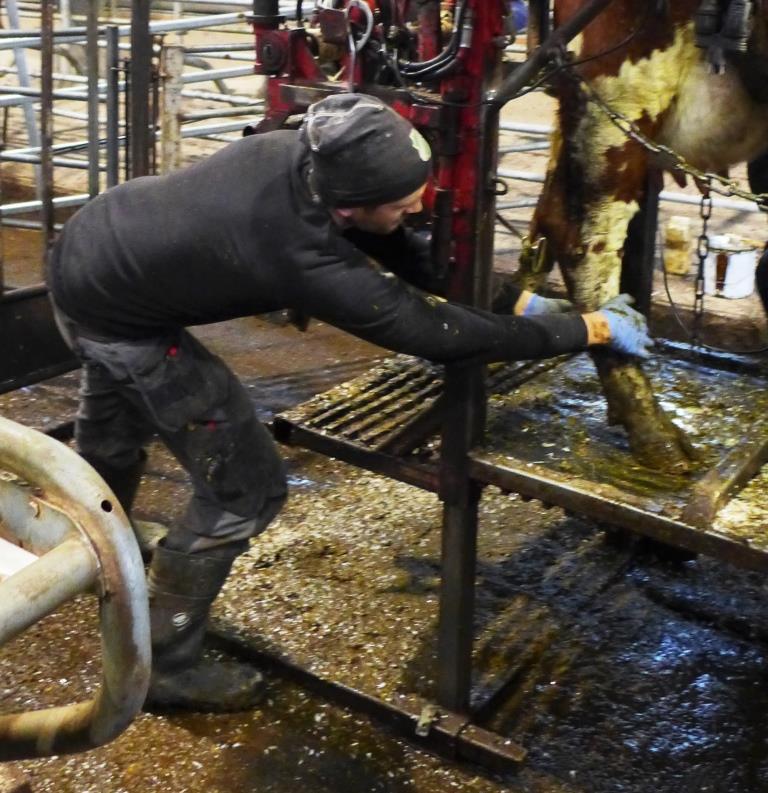 Utvalda arbetsställningar under verkning för