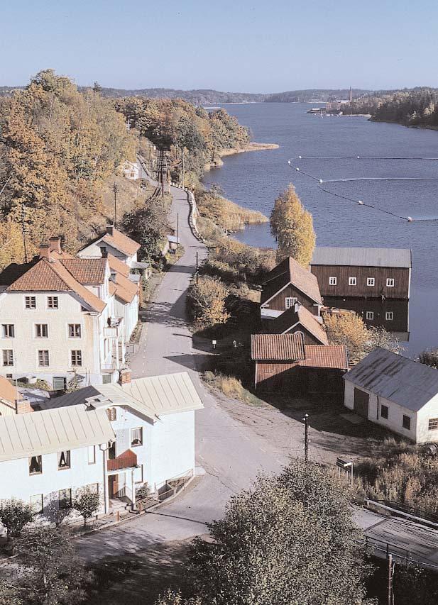 TEMA Metaller Medelvärde för metaller i läns kustvatten Zink Koppar Bly mg/kg ts Medelvärde för metaller i läns kustvatten, Kadmium mg/kg ts Kvicksilver Kadmium,,, Kvicksilver mg/kg ts