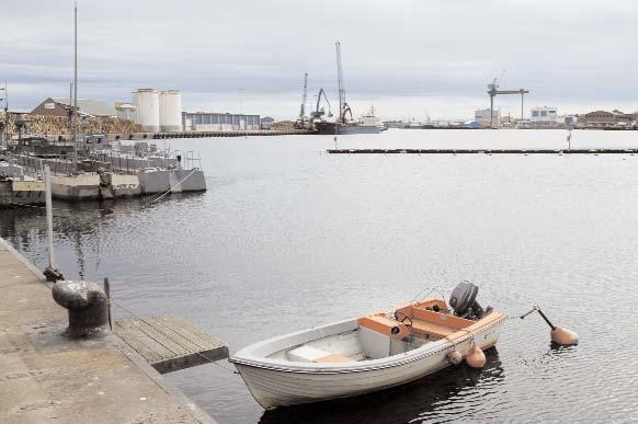 s hamn är länets mest förorenade vattenmiljö när det gäller tungmetaller. Möjligheten att sanera hamnen håller också på att undersökas.