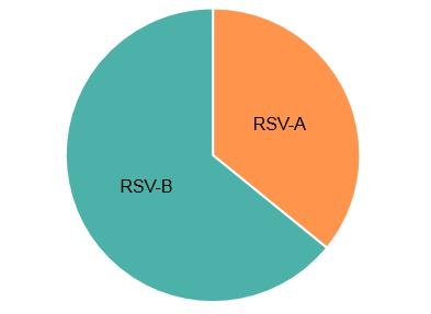 Figur 6. Andel rapporterade fall av RSV-A respektive RSV-B säsongen 2016-2017. Tabell 2. Andel RSV fall per typ, totalt antal typade samt totalt antal RSV-fall, 2012-2013 till 2016-2017.