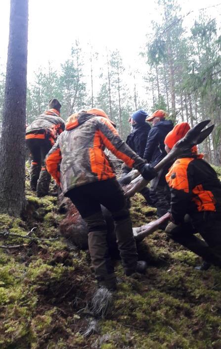 Vi kommer även i år satsa på att besöka de jägarskolor som genomförs inom kretsen för att informera om Jägareförbundet och kretsens arbete.