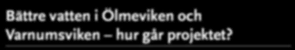 Vattnet måste bli bättre och boende, jordbrukare, sommarstugeägare, kommunen med flera är engagerade i projektet som pågått i två år.