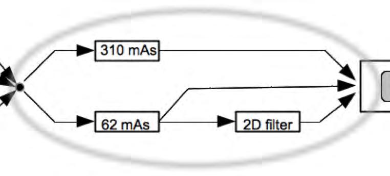 Including mas effect Both standard-dose and reduced-dose