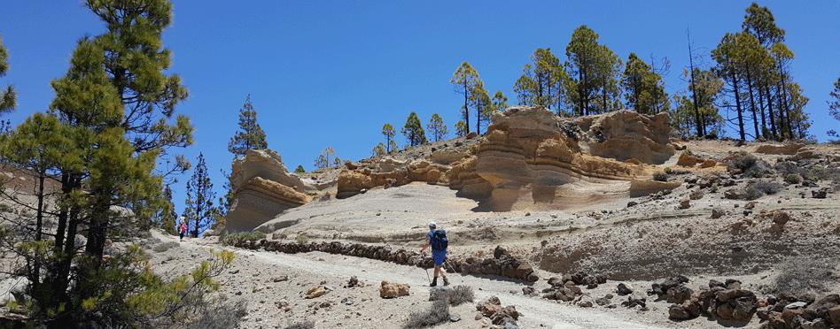 Teneriffa, 7 nätter 1(8) Vandra på Kanarieöarna Naturpark Corona Forestal Teneriffa, 7 nätter Garachico Vilaflor/Arona, 6 vandringsdagar En vandring på Teneriffa är en mångfacetterad upplevelse!