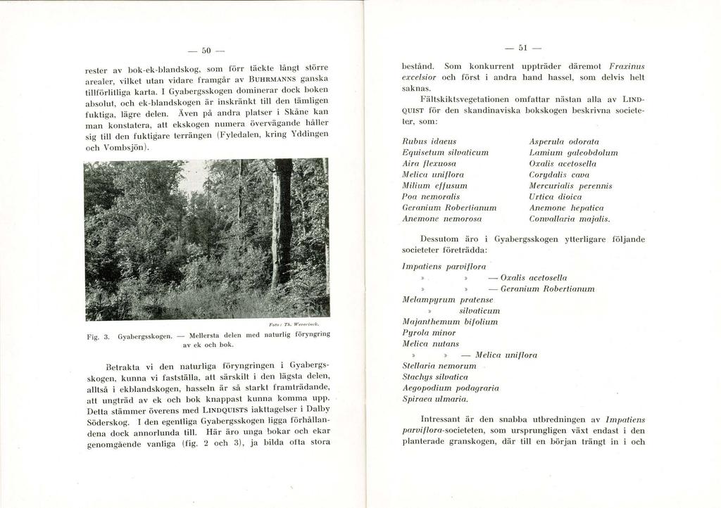 - 50-- 51 - rester av bok-ek-blandskog, SOln förr täckte långt större arealer, vilket utan vidare framgår av BUHRMANNS gan.ska tillförlitliga karta. I Gyabergsskogen dolninerar dock boken.