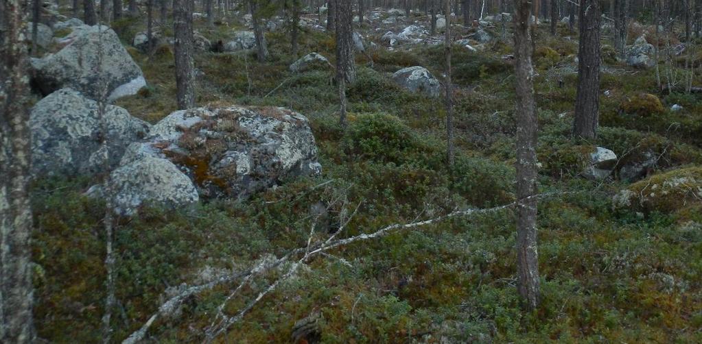 detaljplan för triangelspår,