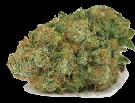 exer Investeringar Organiska High-CBD Cannabis