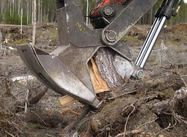 Stubbved torkas på plats Till skillnad från rundvirke får ofta stubbdelarna ligga ganska länge innan de transporteras till industri, först i småhögar på hygget och sedan i stubbvälta vid bilväg.