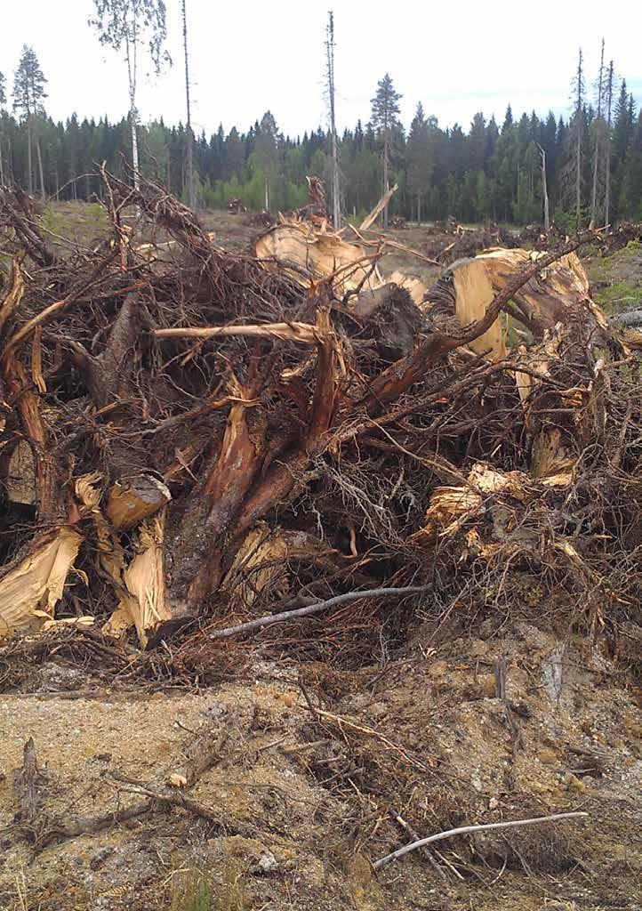 Hur påverkas markens kolförråd av stubbskörd?