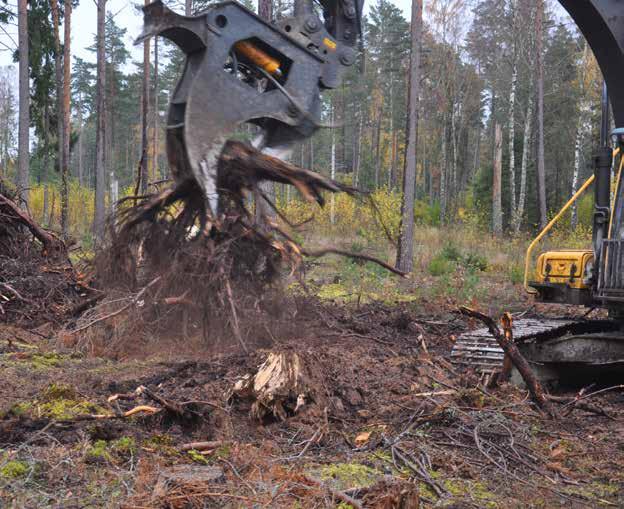 Vid stubbskörd finns risk att mer nitratkväve kan lakas ut.