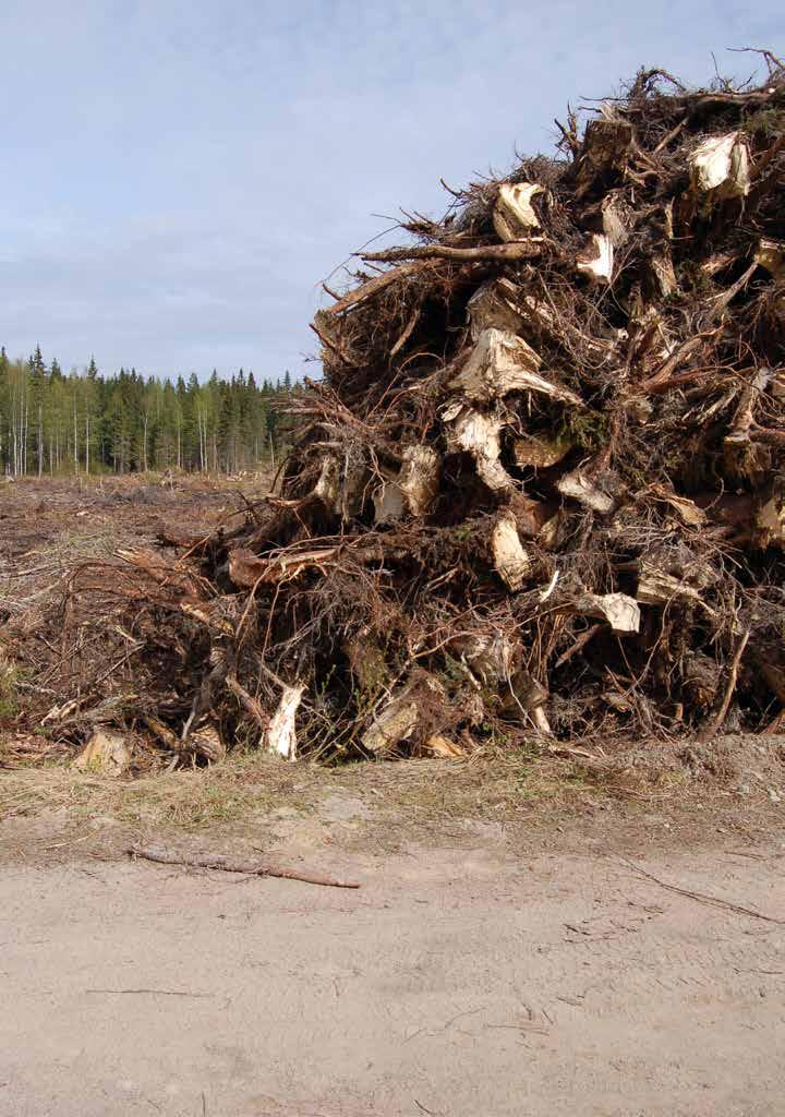 Det är brist på praktikmoment i utbildningarna - Entreprenör och maskinförare Kan ett ökat biobränsleuttag kombineras med god miljöhänsyn?