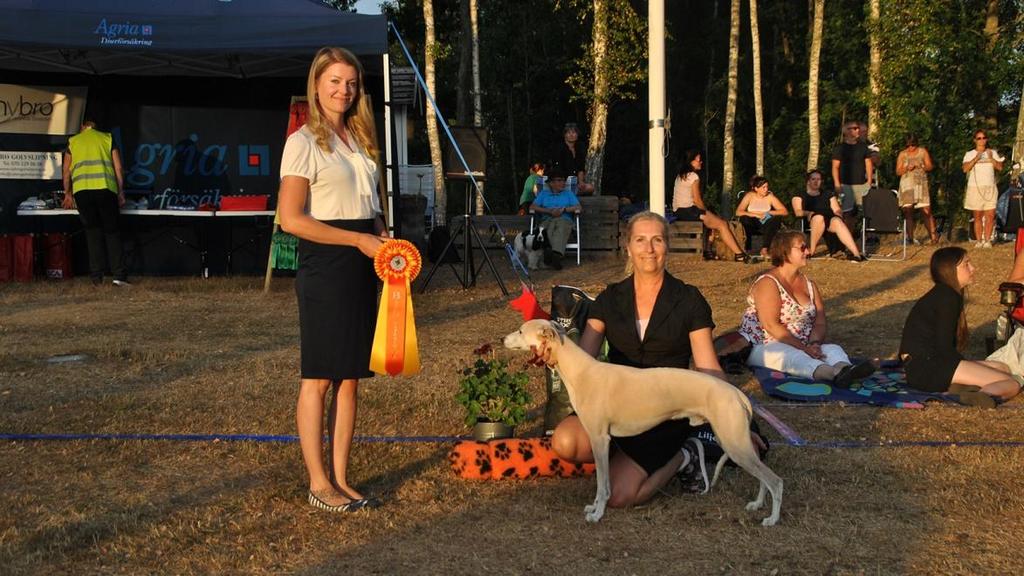 Bästa Vinthundar Saluki Yalameh Radija Tahmina SE10450/2018 Tik Äg. Palmqvist Marie, Kosta Uppf. Weber Barbara & Schad Christine, Tyskland.