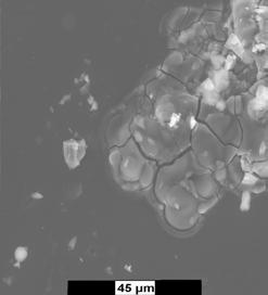 rutenium på ytorna med hjälp av ESCA. Dessa ESCA-analyser visade att RuO 2 bildades även på glasytorna när dessa utsattes för ångor av RuO 4. Tabell 4.