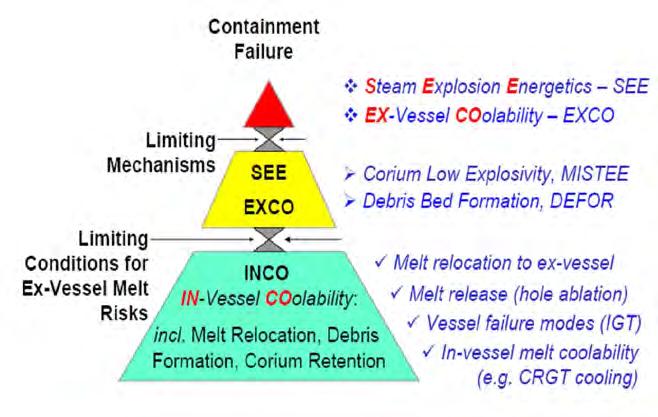 SEE (Steam Explosion Energetics).