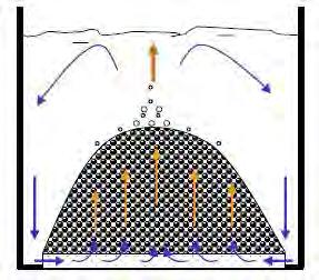 Results and Analysis Effect of Coolant Bottom-Fed The debris beds formed from FCI are expected to have a heap-like shape, which allows coolant ingression from sides as well as top, and therefore