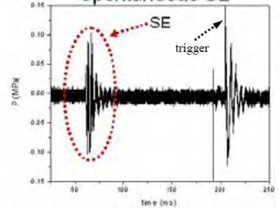 0.7 0.6 SE 0.5 0.4 P (MPa) 0.3 0.2 0.1 0.0-0.1-0.2 200 205 210 215 220 225 230 time (ms) (a) (b) Fig. 3.
