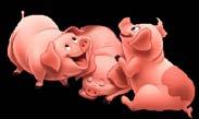 Lantbrukskansliet informerar: Tekniska nämnden informerar: ANMÄLAN OM DJURANTAL TILL SVINREGISTRET Alla som registrerat sig som hållare av svin skall tre gånger per år anmäla antalet svin/grisar till