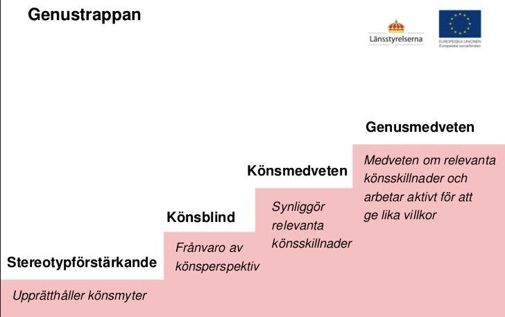 Gender steps Stereotypical actor (Strengthen stereotypical assumptions on gender) Gender blindness (Lack of social perspectives on gender) Gender awareness